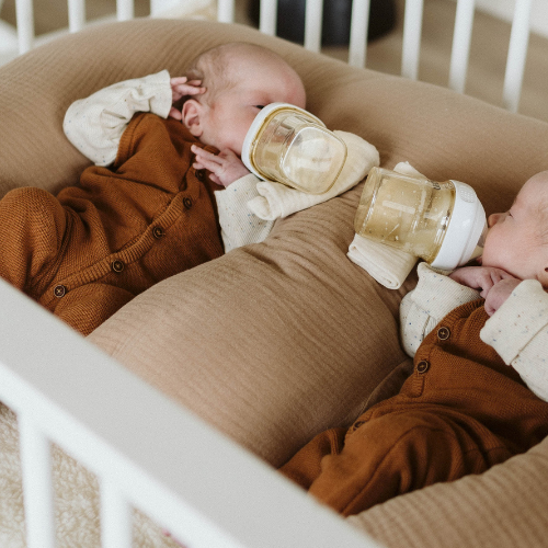Het Avontuur van tweeling ouderschap