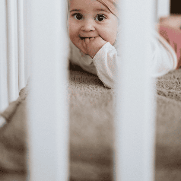 Box blanket rectangle teddy | Taupe