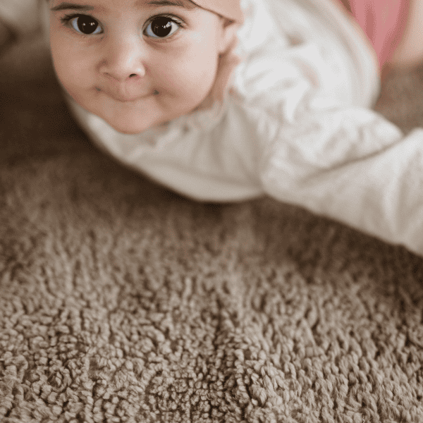Box blanket rectangle teddy | Taupe